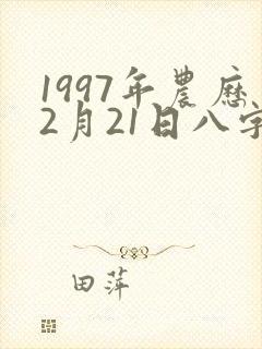 1997年农历2月21日八字算命