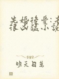 先婚后爱:老公很凶猛小说在线看