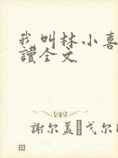 我叫林小喜全阅读全文