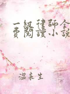 一级律师全文免费阅读小说
