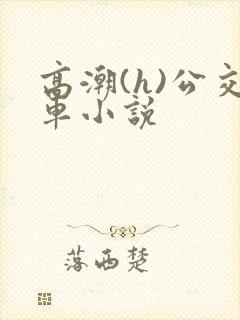 高潮(h)公交车小说