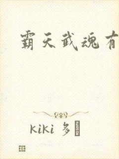 霸天武魂有声