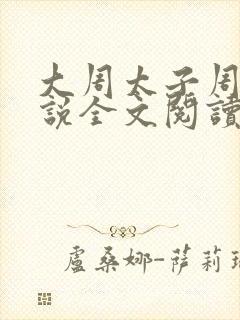 大周太子周铮小说全文阅读无弹窗