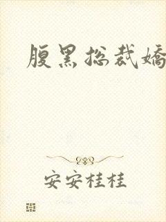 腹黑总裁娇宠妻