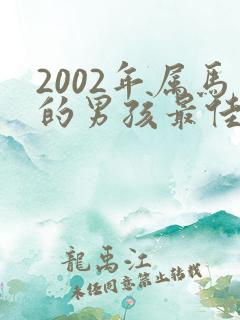 2002年属马的男孩最佳婚配