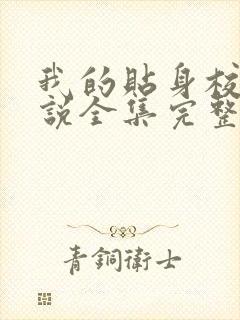 我的贴身校花小说全集完整版txt