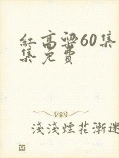 红高粱60集全集免费