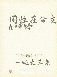 同性在公交车上h呻吟