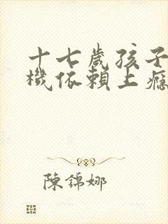 十七岁孩子玩手机依赖上瘾叛逆