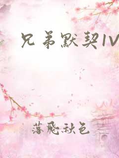 兄弟默契1V2