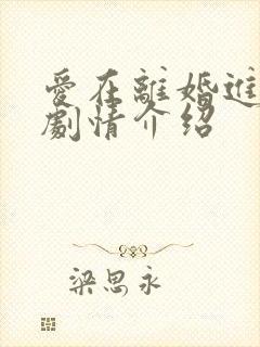 爱在离婚进行时剧情介绍