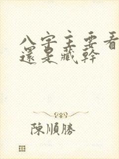 八字主要看十神还是藏干