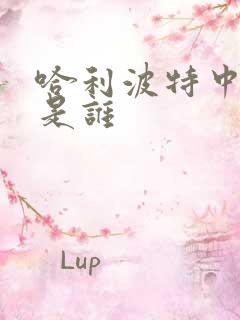 哈利波特中比尔是谁