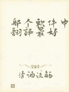 哪个软件中英文翻译最好