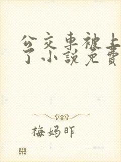 公交车被上高潮了小说免费阅读