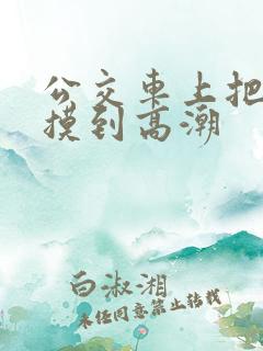 公交车上把少妇摸到高潮