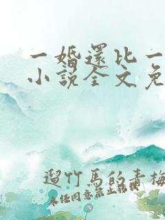 一婚还比一婚高小说全文免费阅读