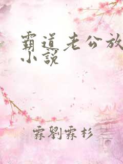 霸道老公放肆爱小说