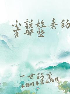小说姓秦的男主有哪些