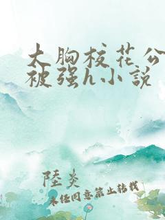 大胸校花公交车被强h小说
