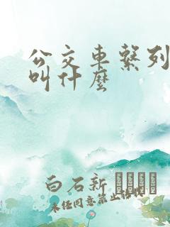 公交车系列小说叫什么
