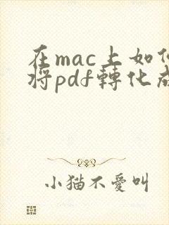 在mac上如何将pdf转化成word