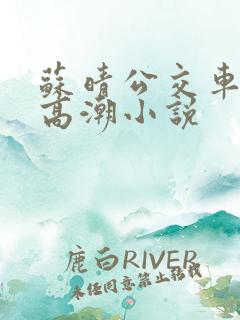苏晴公交车被弄高潮小说