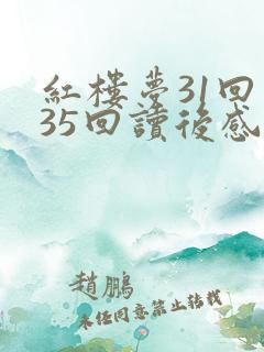 红楼梦31回至35回读后感