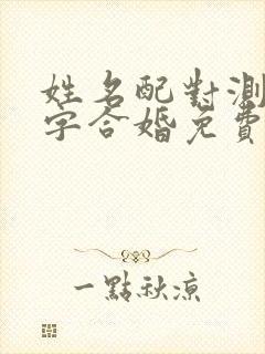 姓名配对测试八字合婚免费