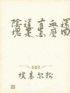阴道有血还有血块是怎么回事