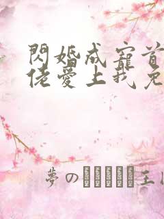 闪婚成宠首富大佬爱上我免费看