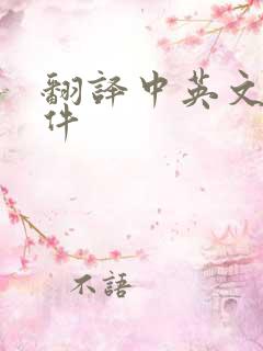翻译中英文的软件