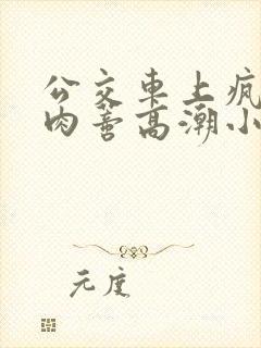 公交车上疯狂揉肉蒂高潮小说