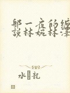 那一夜的缠绵小说林婉林泽在线阅读