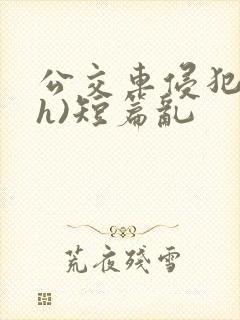 公交车侵犯肉(h)短篇乱