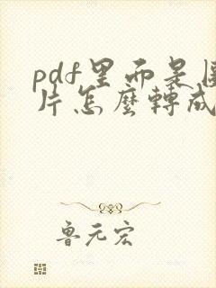 pdf里面是图片怎么转成word文档