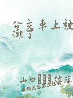 公交车上被摸高潮了