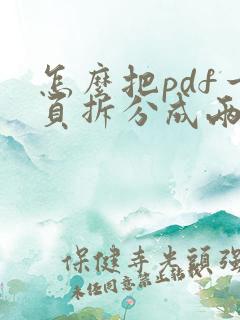 怎么把pdf一页拆分成两页