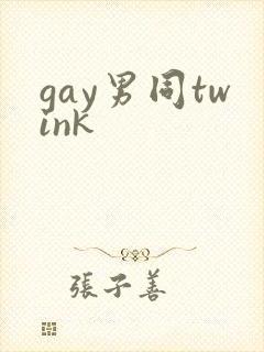 gay男同twink