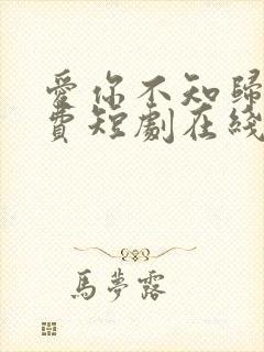 爱你不知归途免费短剧在线观看免费