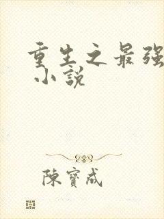 重生之最强系统 小说