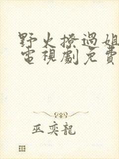 野火撩过姐姐心电视剧免费观看完整