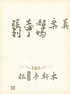 张志超案真凶找到了吗
