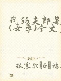 我的夫郎是弃夫(女尊)全文免费阅读