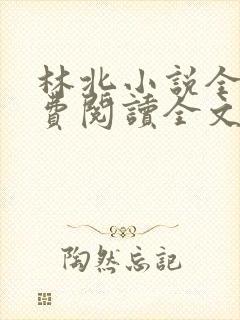 林北小说全文免费阅读全文