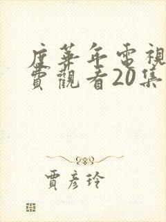 度华年电视剧免费观看20集