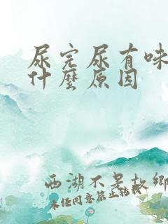 尿完尿有味道是什么原因