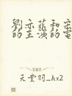 刘亦菲和宋承宪的主演的电视剧
