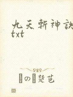 九天斩神诀林辰txt