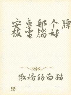 安卓那个牌子平板电脑好